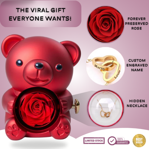 Eternal Rose Bear And Personalized Necklace